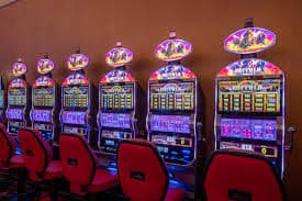5win bet