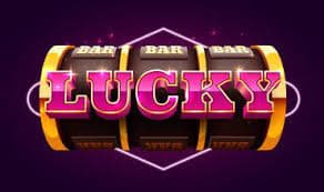 5win bet